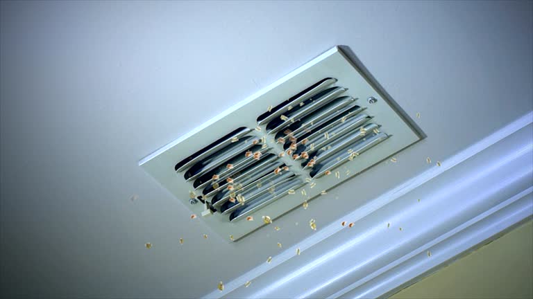 Best Residential Air Duct Cleaning  in Butler, PA